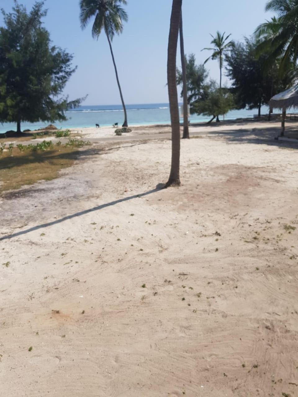 Flyzone Seashell Cottages Only For Indian Nationals With Valid Entry Permit Agatti Exterior foto